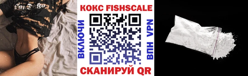 OMG вход  Суздаль  Cocaine VHQ  наркотики 