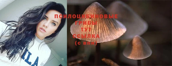 кокс Абинск